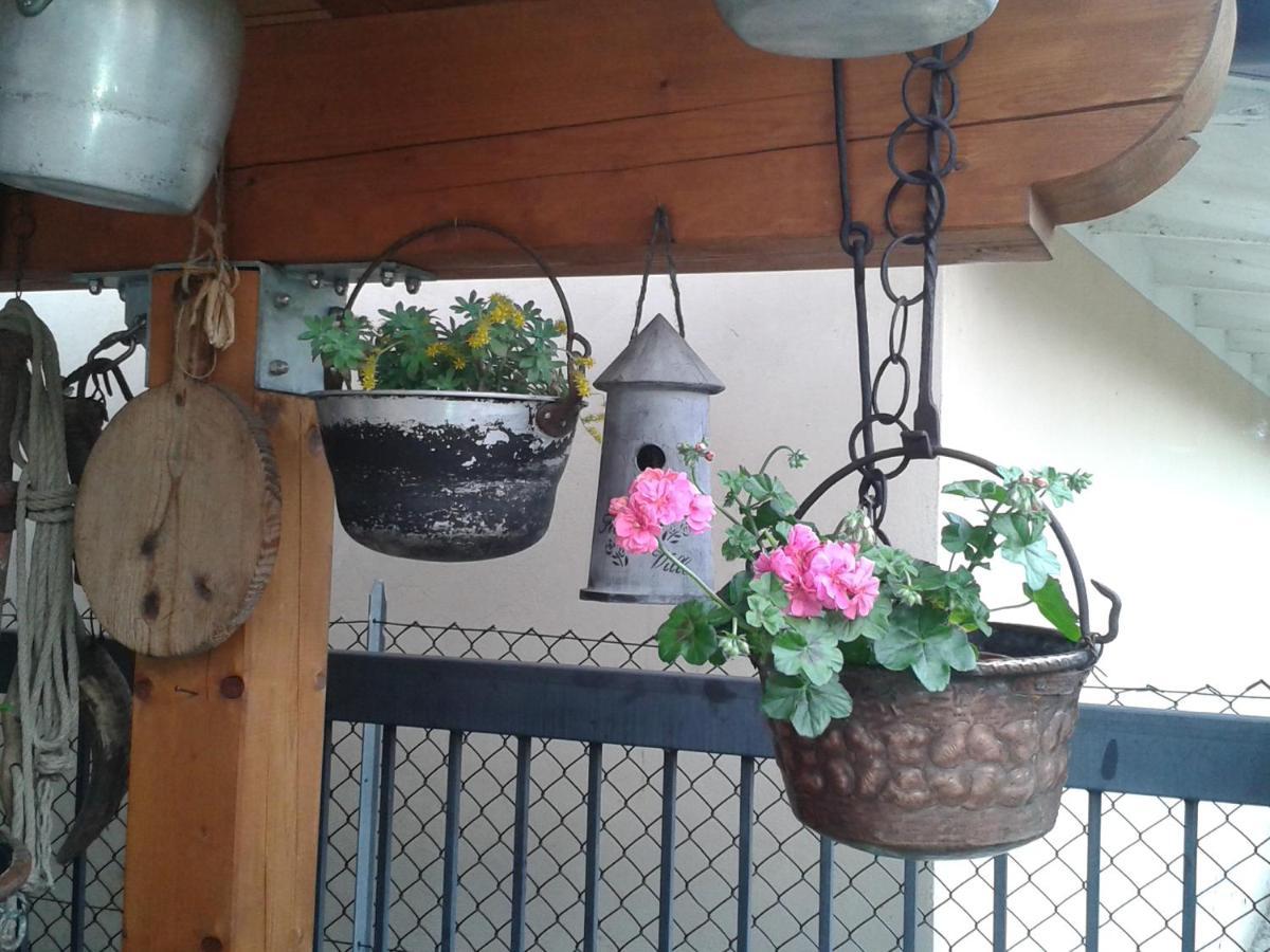 B&B Casa Francesca Alano Di Piave Exteriér fotografie