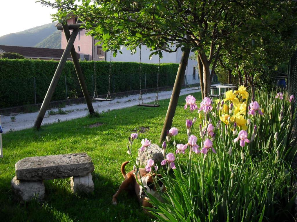 B&B Casa Francesca Alano Di Piave Exteriér fotografie